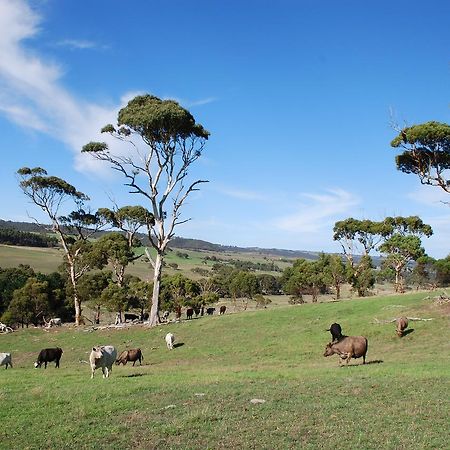 Back Valley Farmstay Bed And Breakfast Victor Harbor Kültér fotó