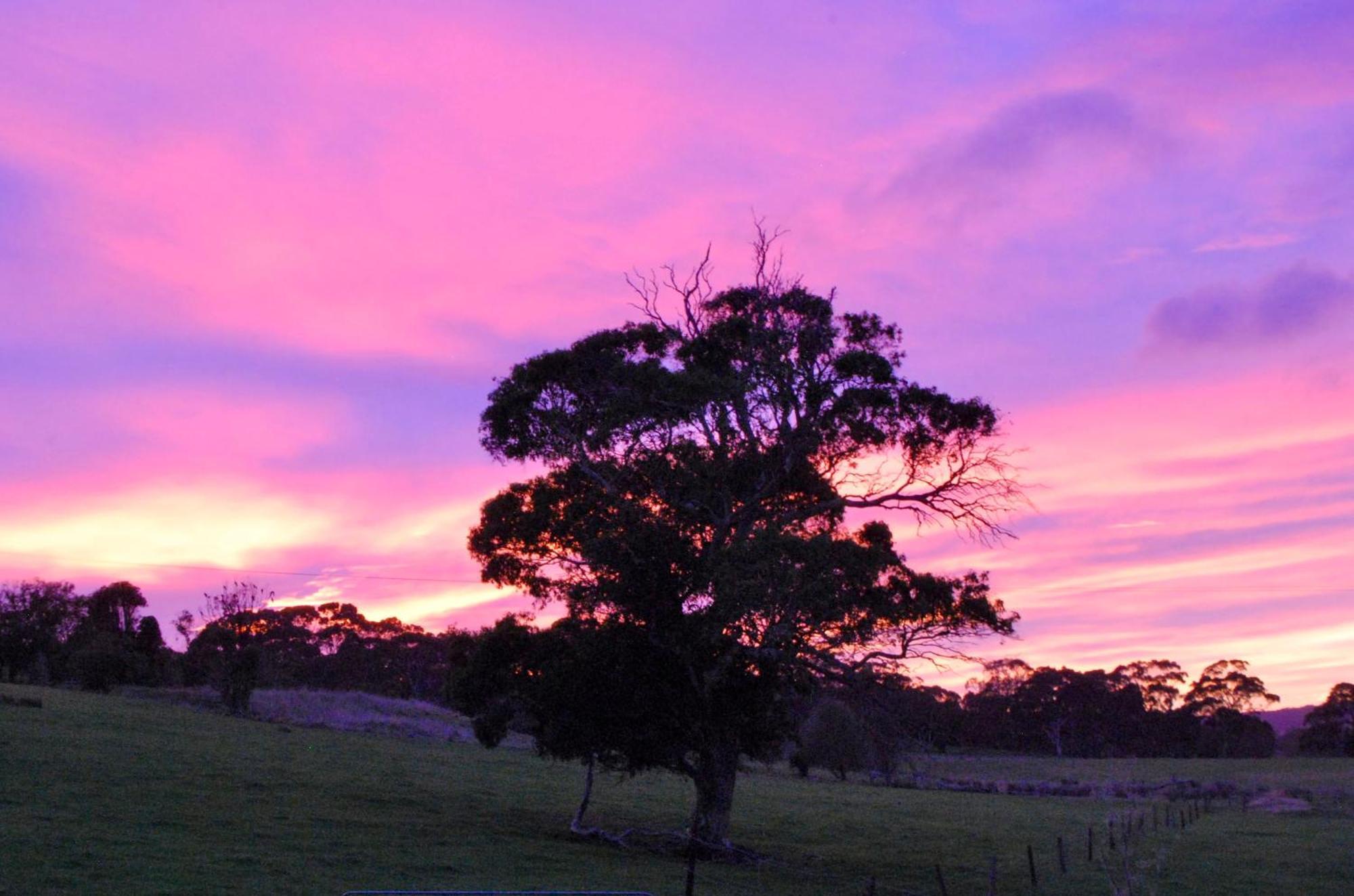 Back Valley Farmstay Bed And Breakfast Victor Harbor Kültér fotó