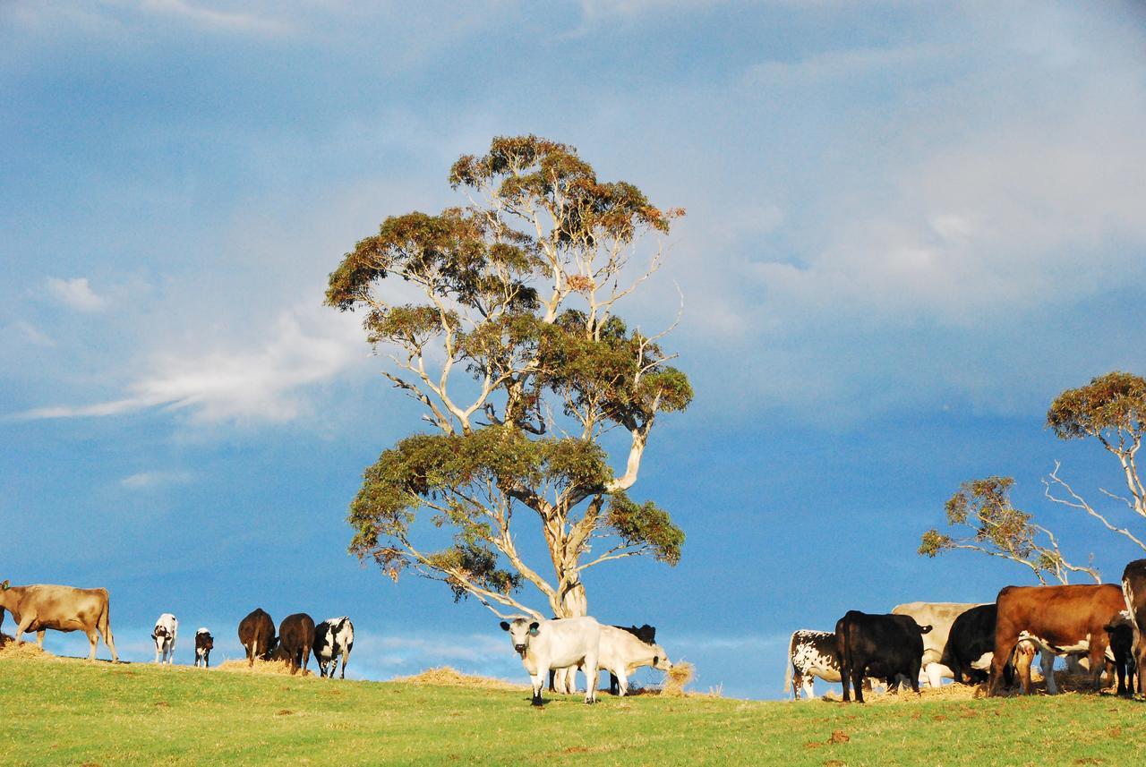 Back Valley Farmstay Bed And Breakfast Victor Harbor Kültér fotó