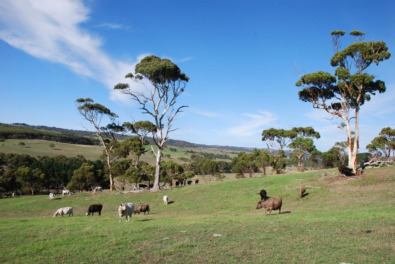 Back Valley Farmstay Bed And Breakfast Victor Harbor Kültér fotó